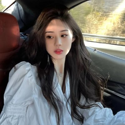 豚鼠特攻队